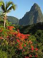 View from our room of Gros Piton mountain